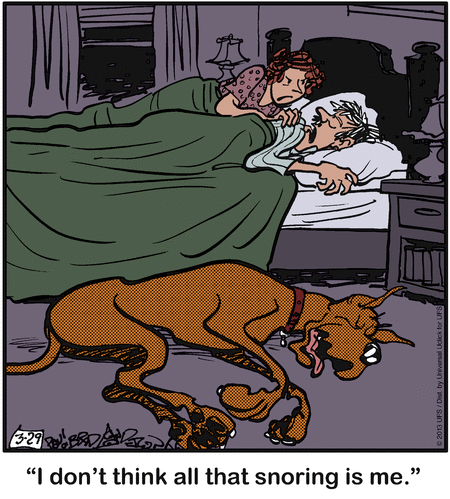 marmaduke